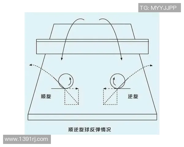 科学乒乓球：战术训练方法